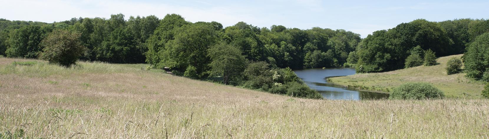 Dekorativt: Søllerød naturpark top