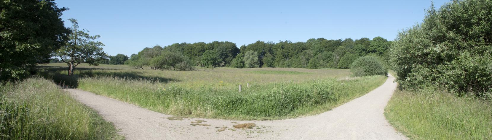 Dekorativt: Sjælsø